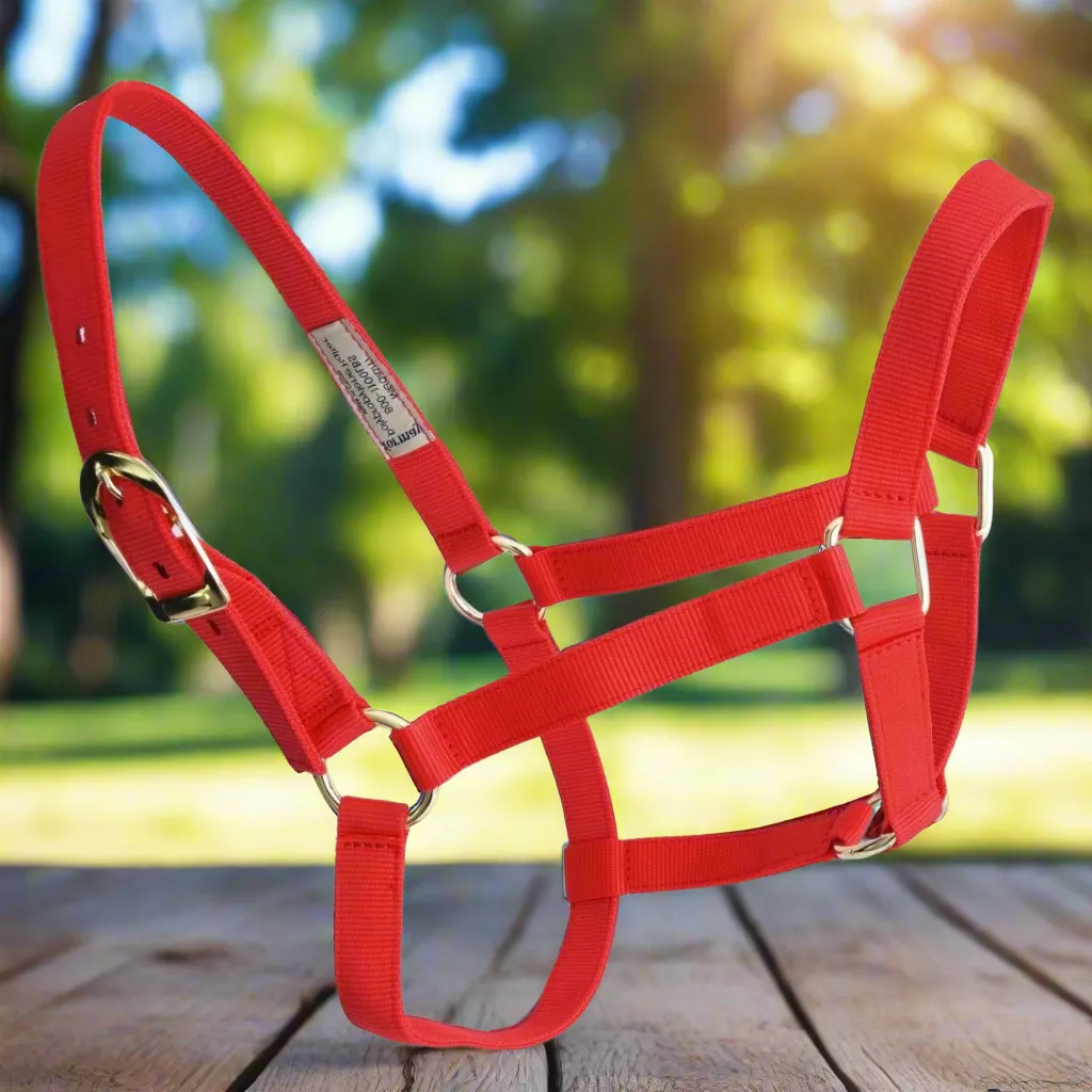 ALMARTIGON PARA CABALLO TMWD1122 HORSE HALTER