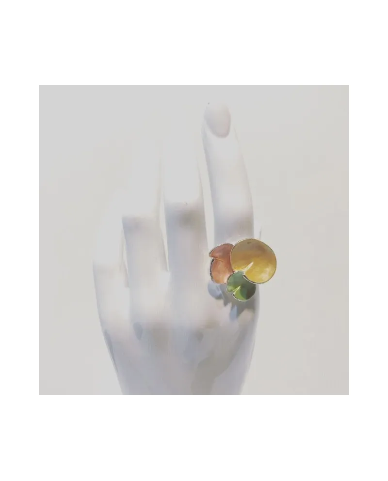 Anillo Bonobo