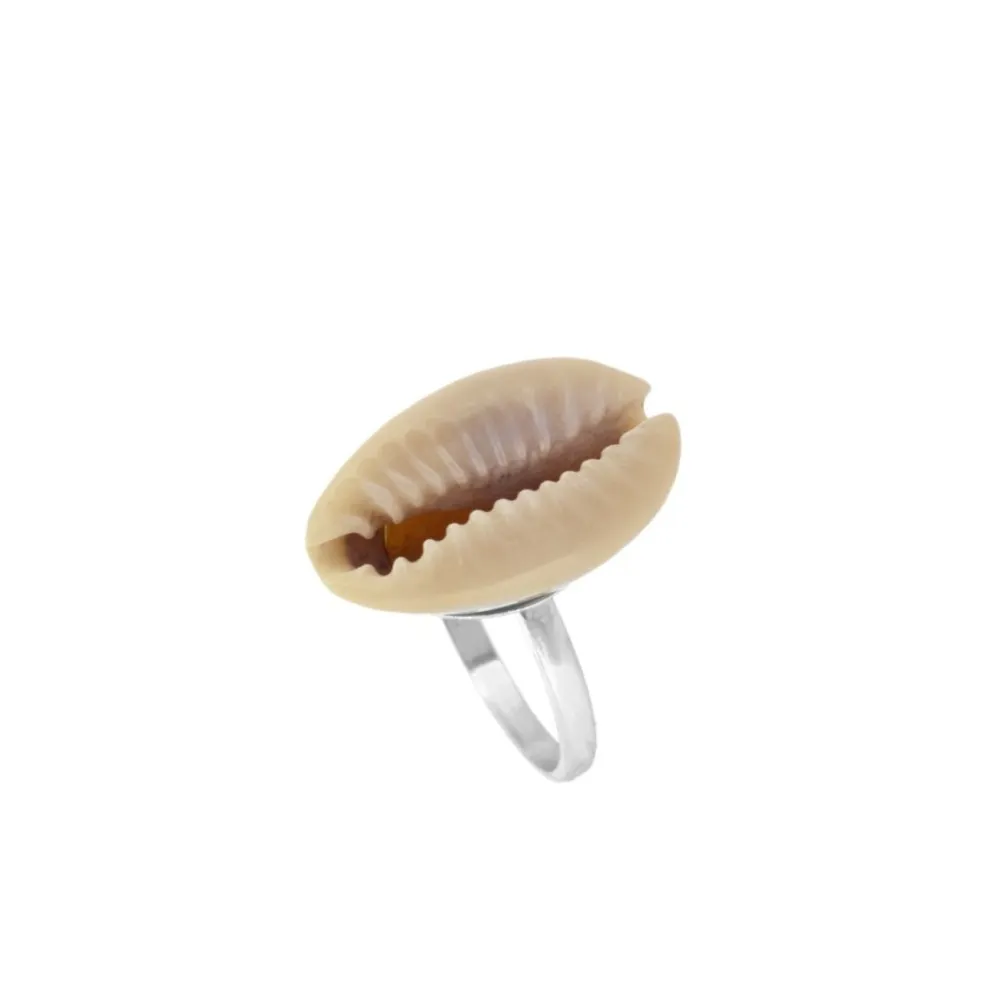 Anillo Concha