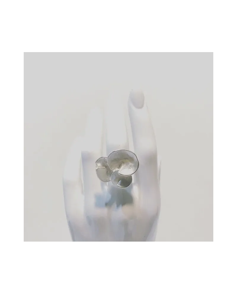 Anillo Iris
