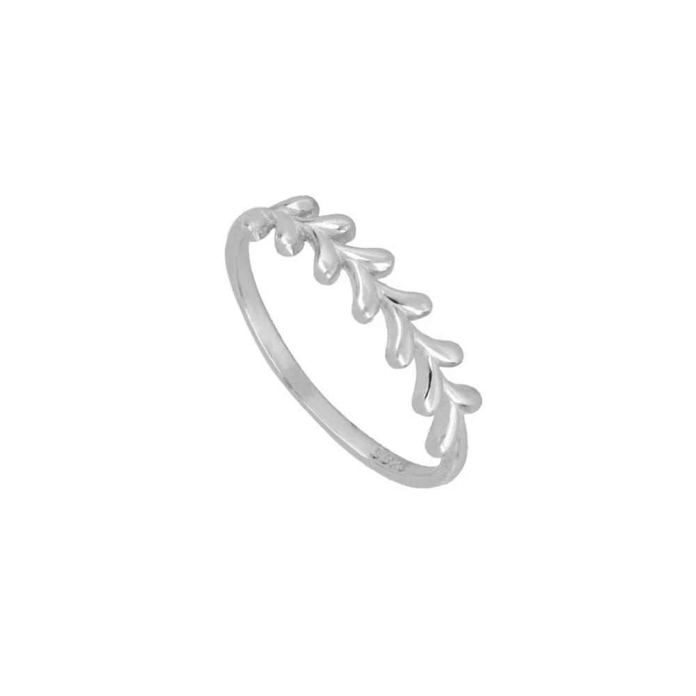 Anillo Neri