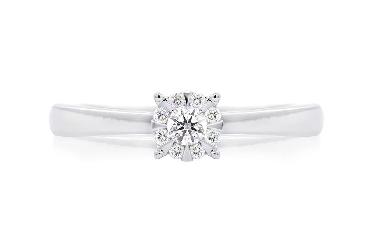ANILLO PROMESE CLUSTER 