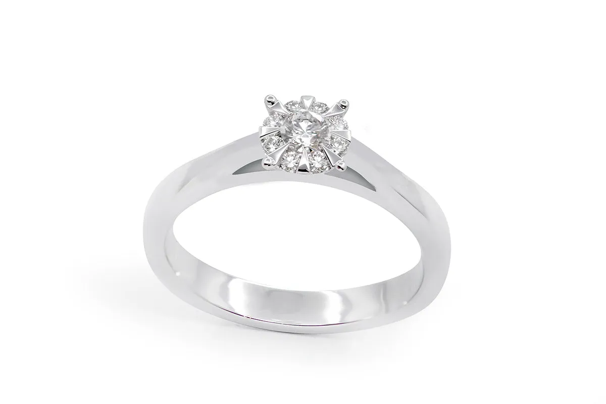 ANILLO PROMESE CLUSTER 