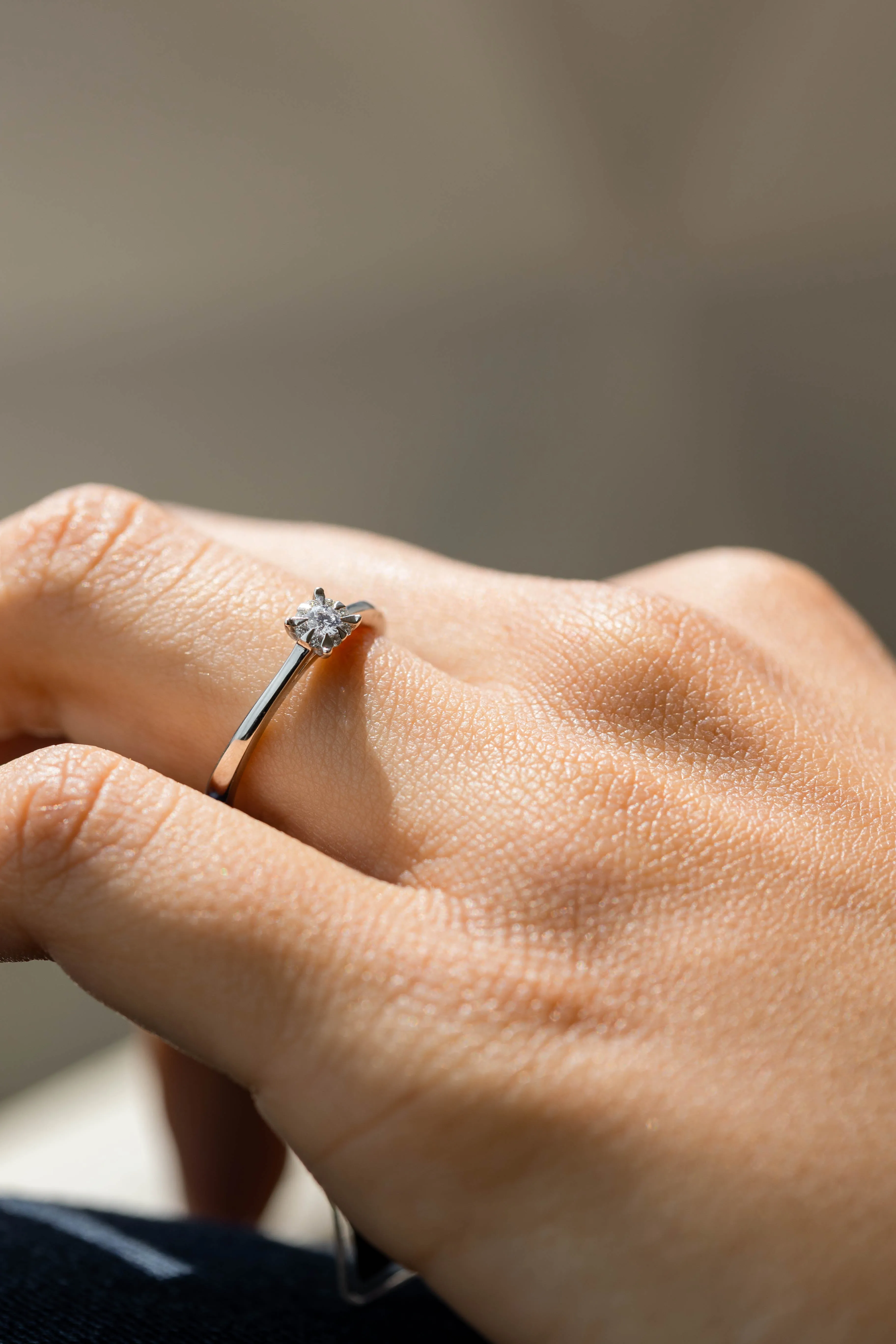 ANILLO PROMESE CLUSTER 
