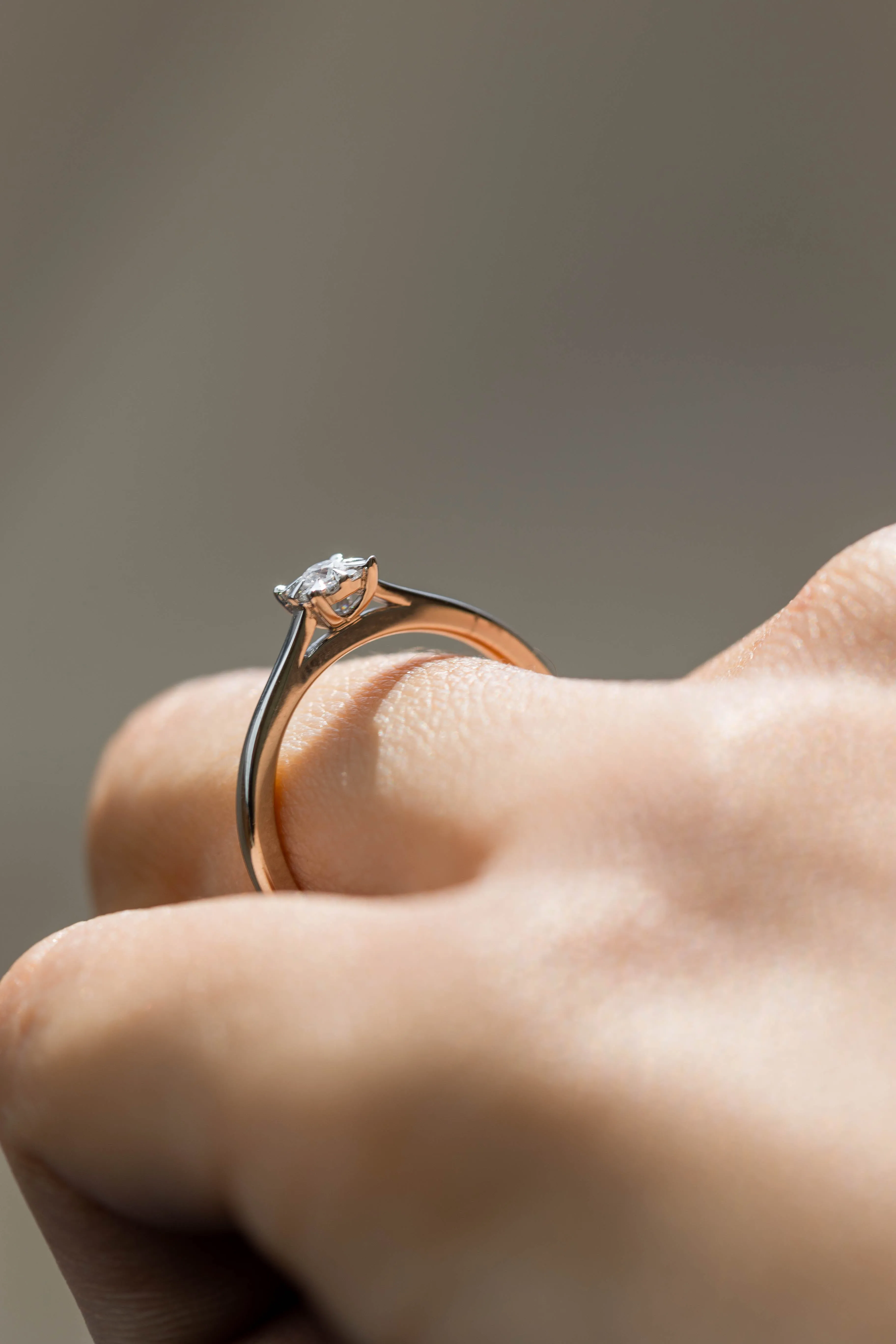 ANILLO PROMESE CLUSTER 