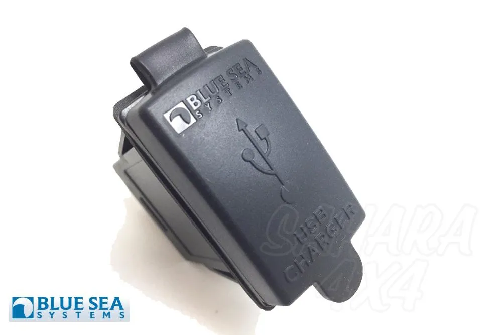 Enchufe USB doble para hueco de interruptor Carling