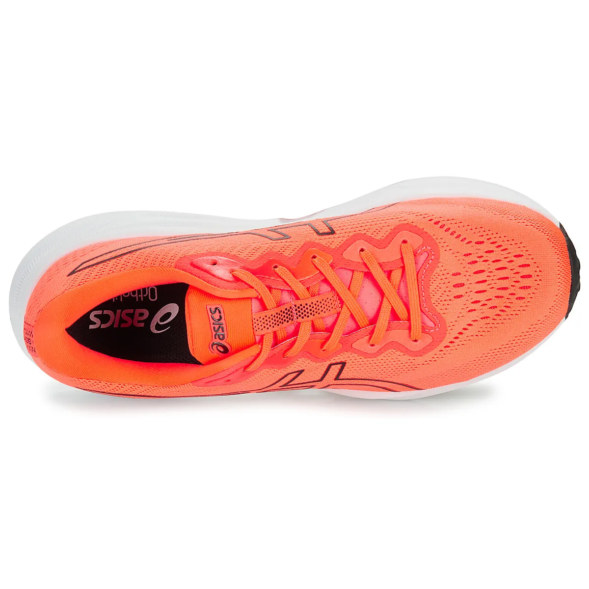 GELPULSE 15