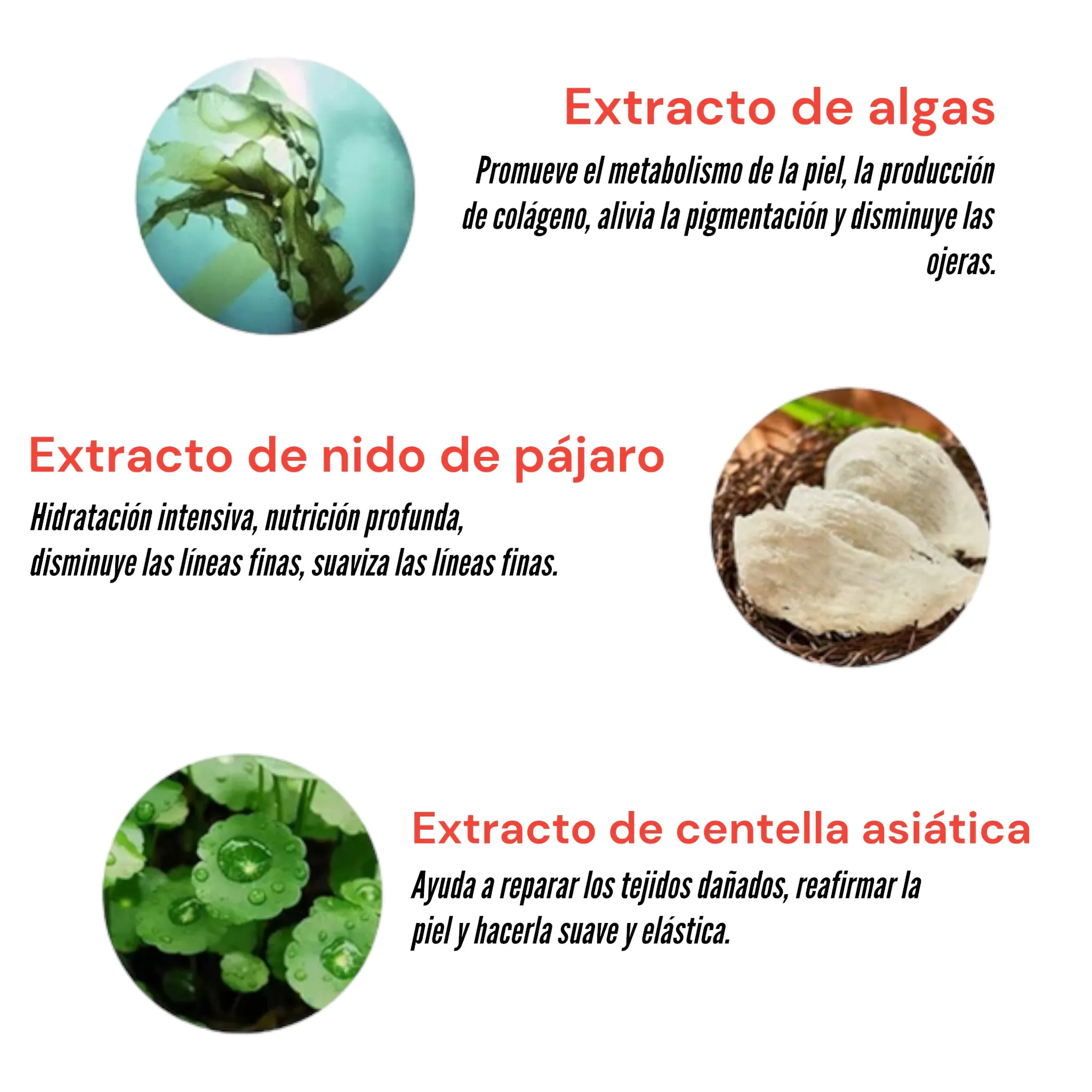 Parches De Hidrogel Para Contorno De Ojos Gold Bird’s Nest