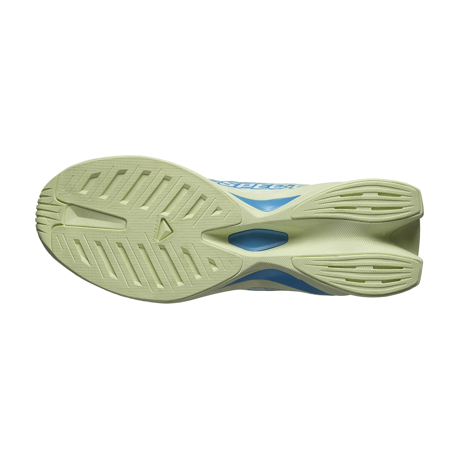 Salomon Spectur 2