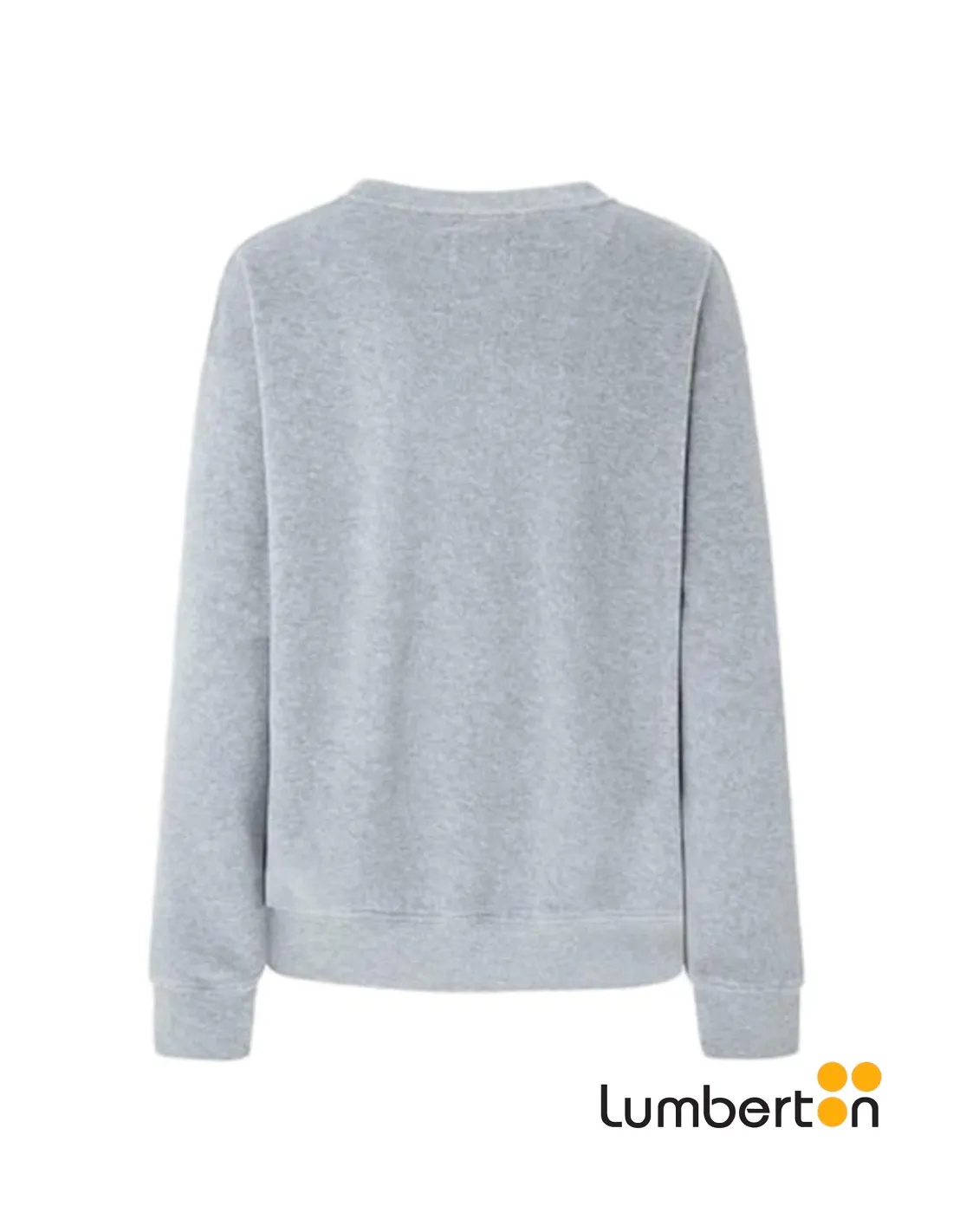 Sudadera Gris Letras Hilo PlataCACEYG
